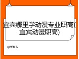 宜宾哪里学动漫专业职高(宜宾动漫职高)