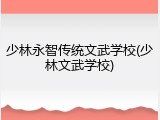 少林永智传统文武学校(少林文武学校)