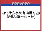 湖北什么学校有动漫专业(湖北动漫专业学校)