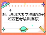 湘西培训艺考学校哪家好(湘西艺考培训推荐)