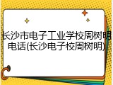 长沙市电子工业学校周树明电话(长沙电子校周树明)