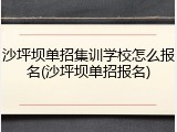 沙坪坝单招集训学校怎么报名(沙坪坝单招报名)