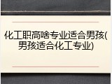 化工职高啥专业适合男孩(男孩适合化工专业)
