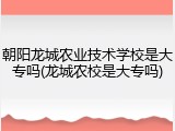 朝阳龙城农业技术学校是大专吗(龙城农校是大专吗)