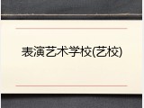 表演艺术学校(艺校)