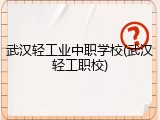 武汉轻工业中职学校(武汉轻工职校)