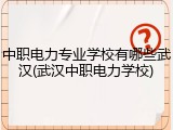 中职电力专业学校有哪些武汉(武汉中职电力学校)