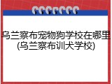 乌兰察布宠物狗学校在哪里(乌兰察布训犬学校)