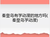 秦皇岛有学动漫的地方吗(秦皇岛学动漫)