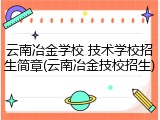 云南冶金学校 技术学校招生简章(云南冶金技校招生)