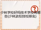 少林学校好吗技术学校有哪些(少林武校技校排名)