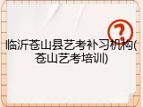 临沂苍山县艺考补习机构(苍山艺考培训)