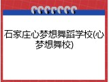 石家庄心梦想舞蹈学校(心梦想舞校)