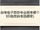 自考电子商务专业报考哪个好(电商自考选哪家)