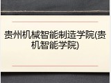 贵州机械智能制造学院(贵机智能学院)