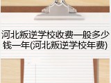 河北叛逆学校收费一般多少钱一年(河北叛逆学校年费)