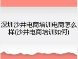 深圳沙井电商培训电商怎么样(沙井电商培训如何)