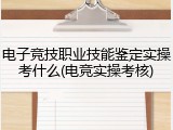 电子竞技职业技能鉴定实操考什么(电竞实操考核)