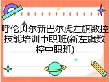 呼伦贝尔新巴尔虎左旗数控技能培训中职班(新左旗数控中职班)