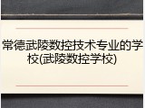 常德武陵数控技术专业的学校(武陵数控学校)