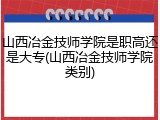 山西冶金技师学院是职高还是大专(山西冶金技师学院类别)