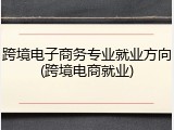 跨境电子商务专业就业方向(跨境电商就业)