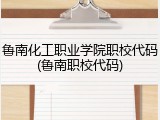 鲁南化工职业学院职校代码(鲁南职校代码)