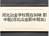 河北冶金学校现在叫啥 职中呢(河北冶金职中现名)