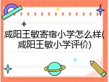 咸阳王敏寄宿小学怎么样(咸阳王敏小学评价)