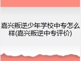 嘉兴叛逆少年学校中专怎么样(嘉兴叛逆中专评价)