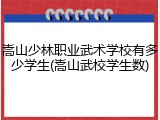 嵩山少林职业武术学校有多少学生(嵩山武校学生数)