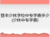 登丰少林学校中专学费多少(少林中专学费)