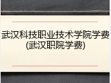 武汉科技职业技术学院学费(武汉职院学费)