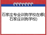 石家庄专业训狗学校在哪(石家庄训狗学校)