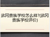 武冈贵族学校怎么样?(武冈贵族学校评价)