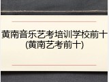 黄南音乐艺考培训学校前十(黄南艺考前十)