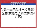 东莞市电子科技学校是哪个区的(东莞电子科技学校所在区)