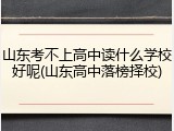 山东考不上高中读什么学校好呢(山东高中落榜择校)