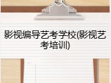 影视编导艺考学校(影视艺考培训)