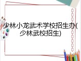 少林小龙武术学校招生办(少林武校招生)