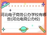 河北电子商务公办学校有哪些(河北电商公办校)