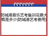 防城港音乐艺考集训花费大概是多少(防城港艺考费用)