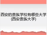 西安的贵族学校有哪些大学(西安贵族大学)