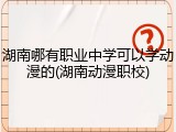 湖南哪有职业中学可以学动漫的(湖南动漫职校)