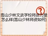 嵩山少林文武学校师资力量怎么样(嵩山少林师资如何)