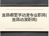 宜昌哪里学动漫专业职高(宜昌动漫职高)