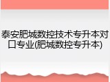 泰安肥城数控技术专升本对口专业(肥城数控专升本)