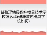 甘孜理塘县数控模具技术学校怎么样(理塘数控模具学校如何)