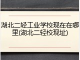 湖北二轻工业学校现在在哪里(湖北二轻校现址)