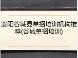 襄阳谷城县单招培训机构推荐(谷城单招培训)